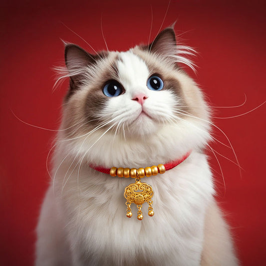 107fa5c2-741b-4b40-ae53-2755247c198d